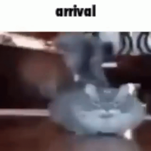 arrival.gif
