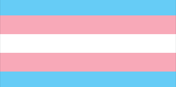 transgender-flag-605.png